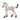 KNABSTRUTS FOALS
