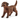 Labrador Retriever hvalp