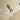 Wallstories - Stork, lille